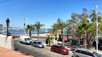 A coastal street with parked cars, a marina in the background, and palm trees lining the sidewalk.