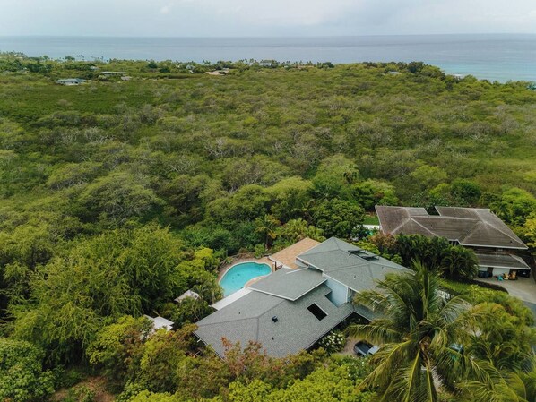 A residential area with a swimming pool, multiple houses, and dense vegetation.