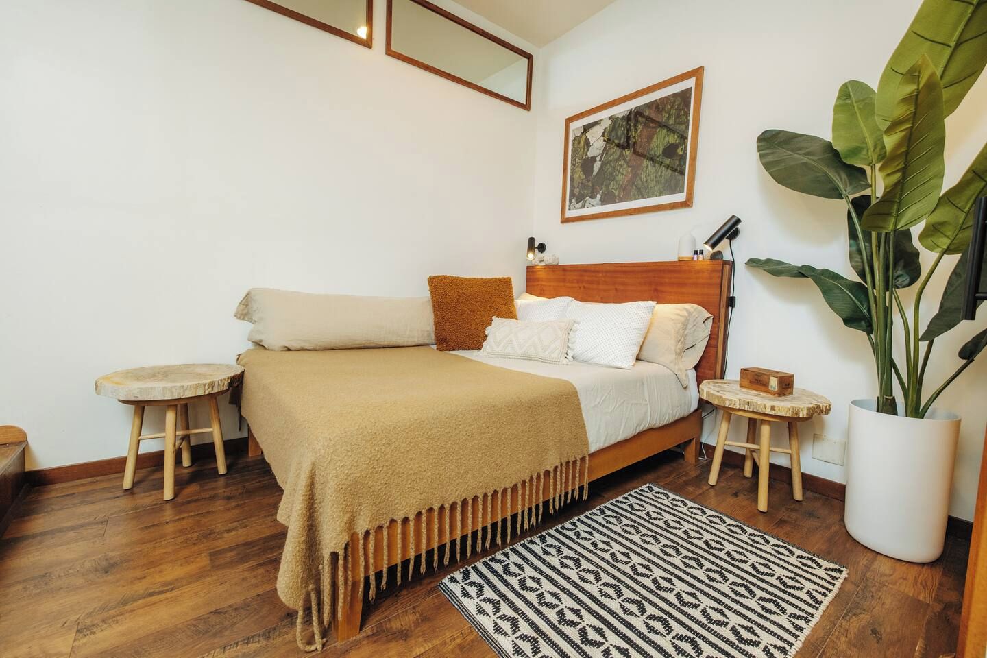A bedroom with a wooden bed, two bedside tables, a large potted plant, and a patterned rug.