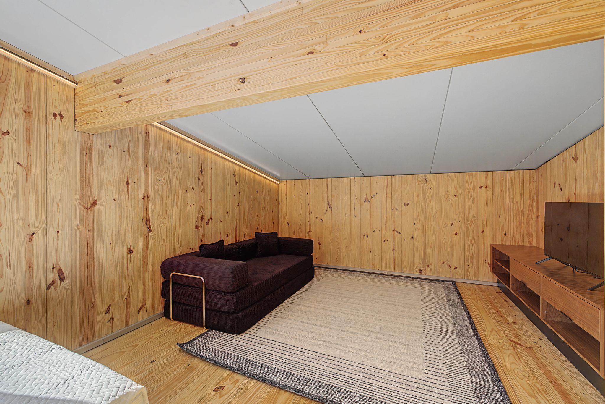 Une pièce aux murs en bois, avec un canapé sombre, un meuble pour la télévision et un tapis à motifs.