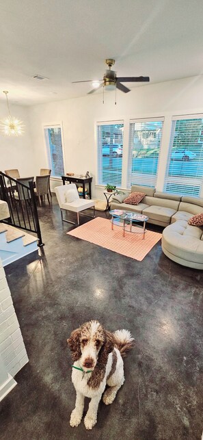 A modern living room with a ceiling fan, a dining area with chairs and a table, and large windows with blinds. - Contemporary two-story home close to the American Museum of Fine Art (Little Rock)