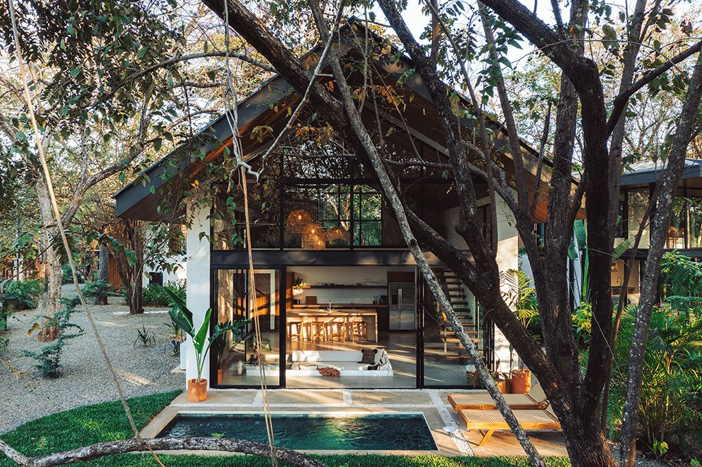A modern house with a glass facade, a pool, and a garden.