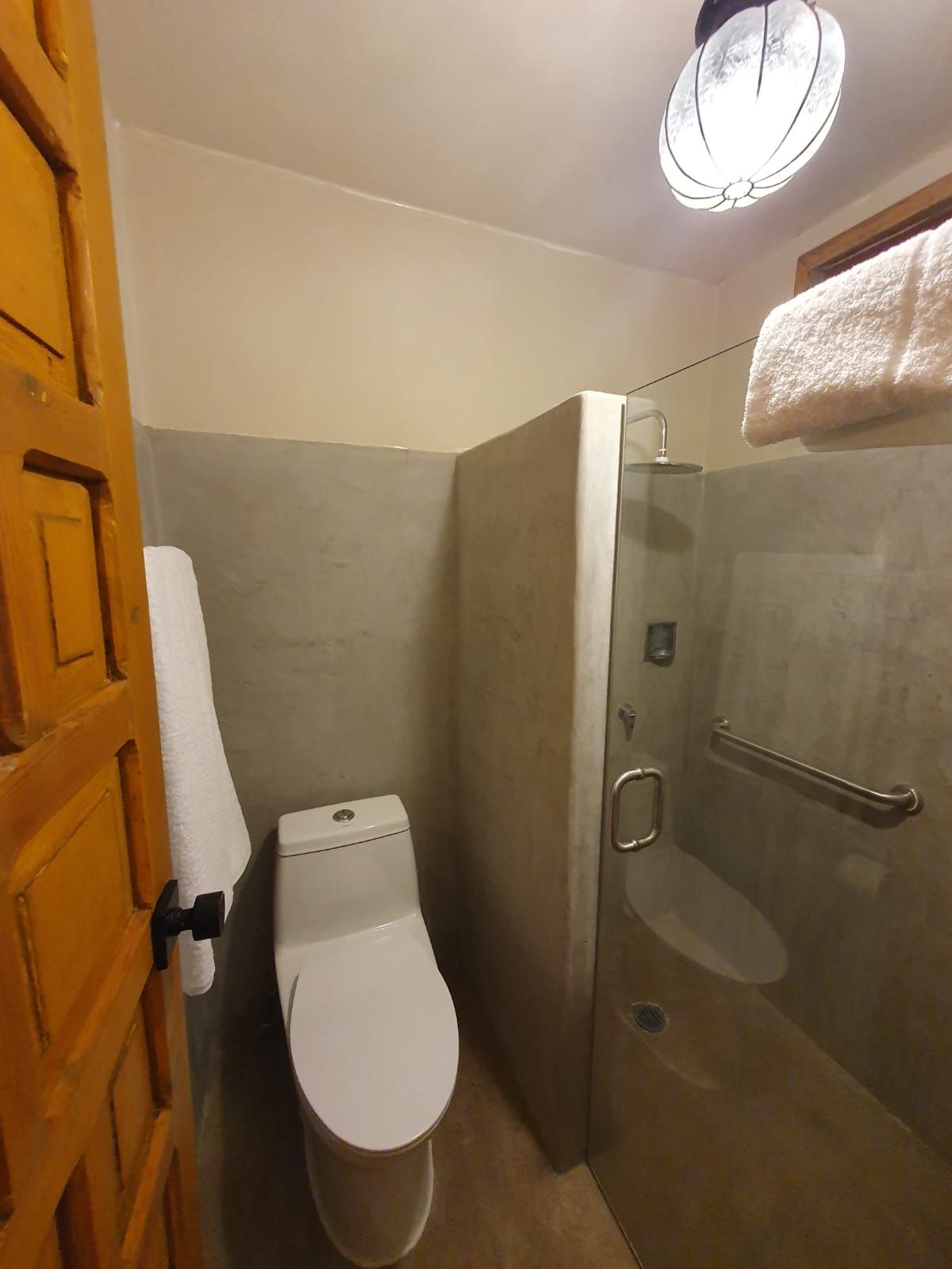 A bathroom with a toilet, a shower stall, and a towel hanging on a door.