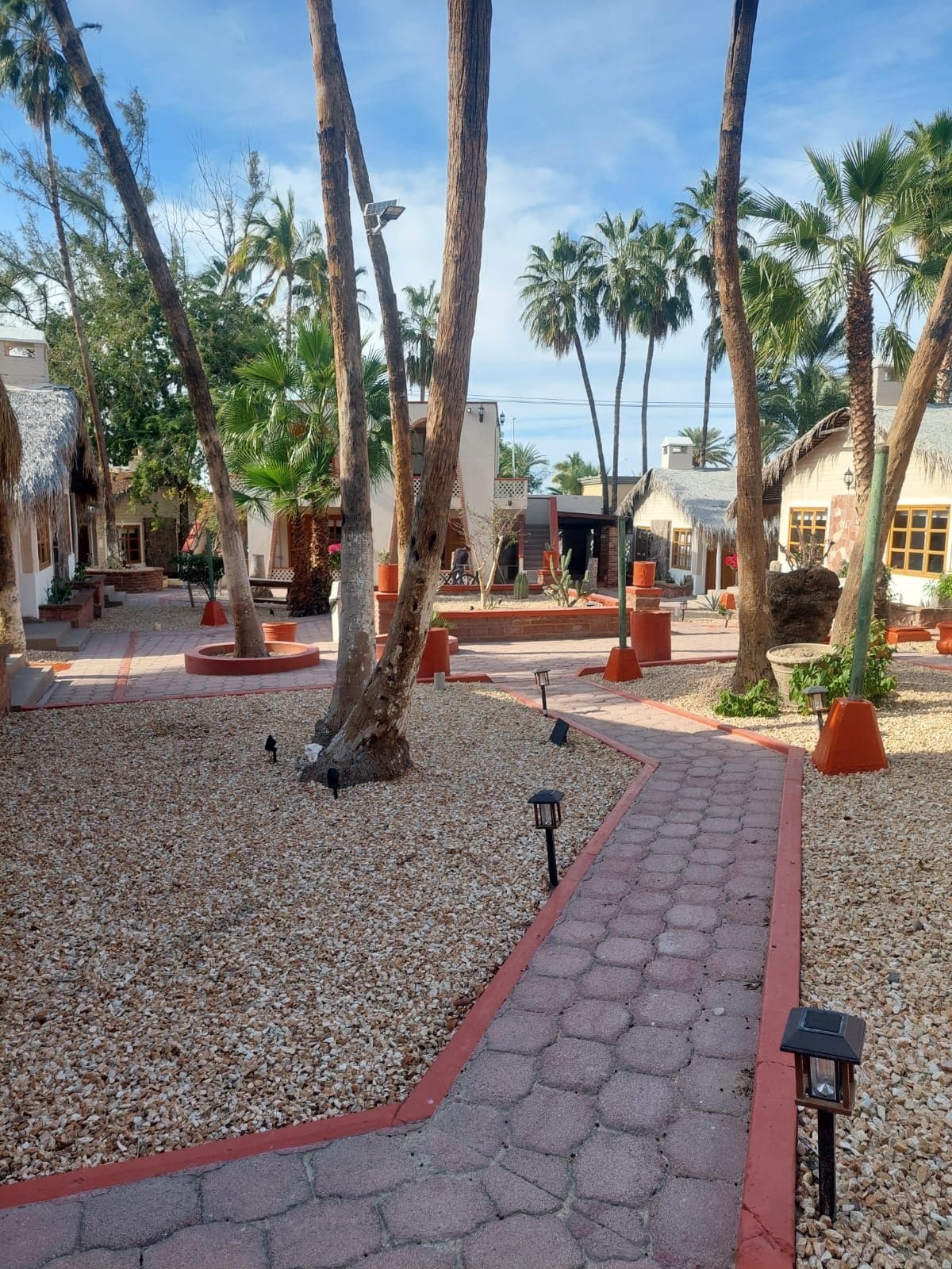 A courtyard with palm trees, a gravel path, and buildings with thatched roofs.