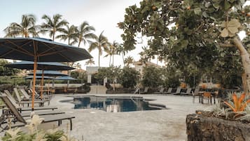 A pool area with lounge chairs and umbrellas, surrounded by palm trees and a stone wall.