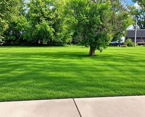 A well-maintained lawn with a tree in the center, a clear sky, and a building in the background. - Lakehouse Getaway Plenty of Parking (Edgerton)