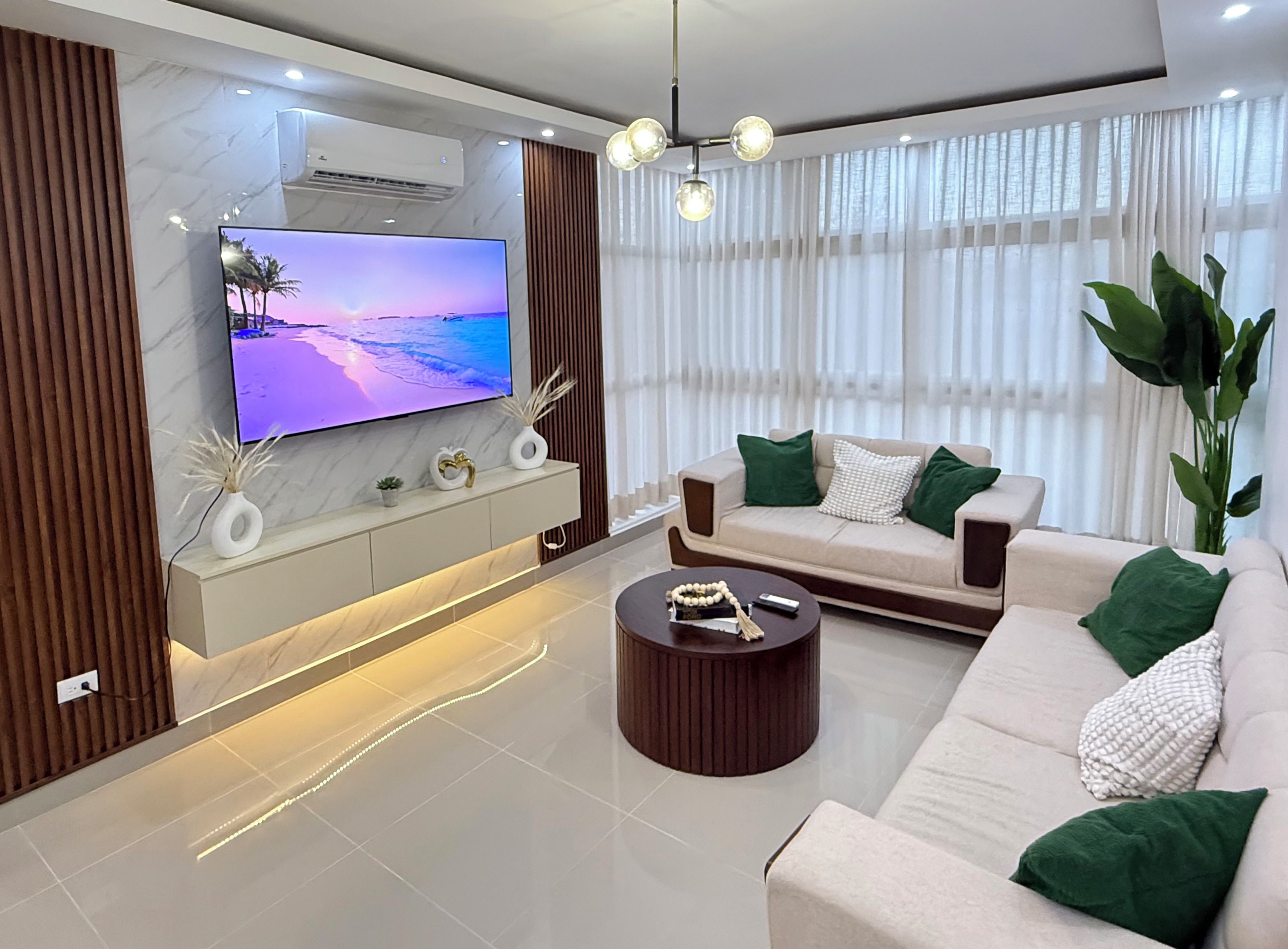 Un salon moderne avec un téléviseur à écran plat, un canapé, une table basse et une grande plante.