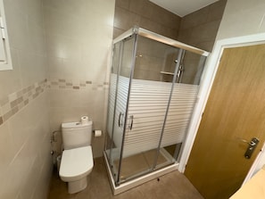 Ein Badezimmer mit Toilette, Duschkabine und Holztür.
