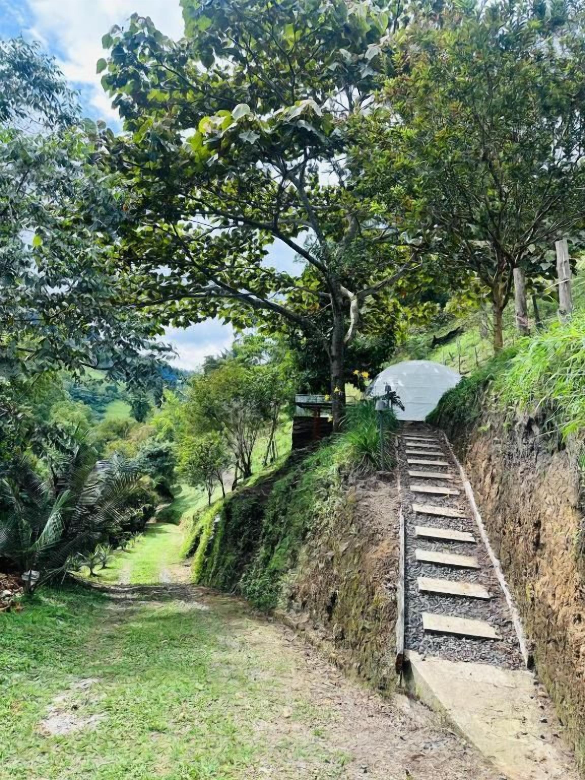 Un sendero que sube una colina con una escalera de madera y un muro de piedra a un lado.