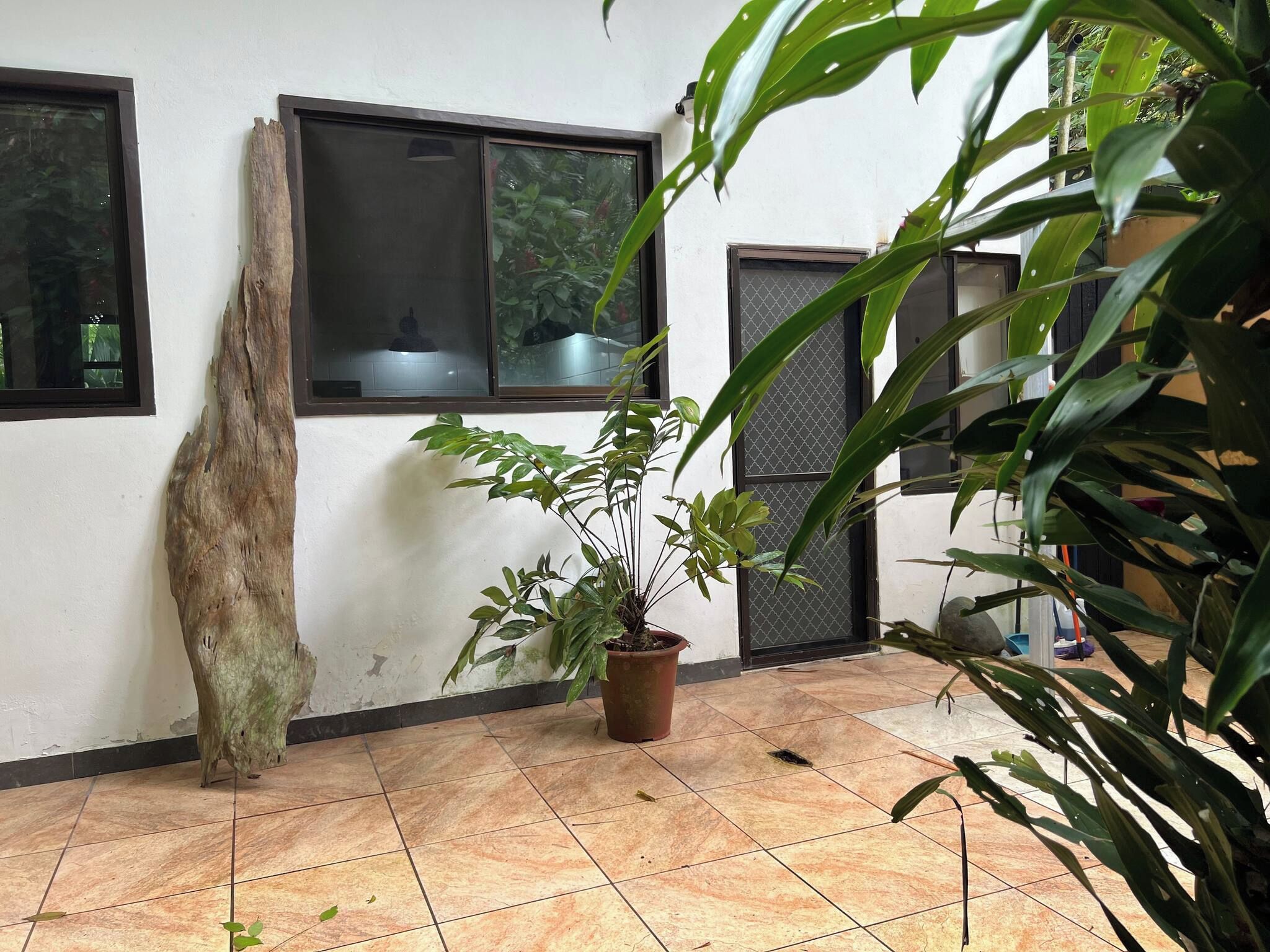 A room with tiled flooring, a potted plant, and a large tree trunk against the wall.