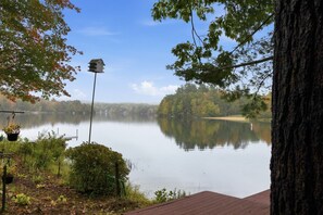 A calm lake with a dock, surrounded by trees and a birdhouse. - Rustic Lakeside Cabin | Dock + Kayaks | Locke Lake (Barnstead)