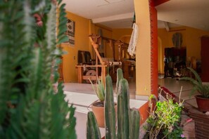 Una habitación con una pared amarilla, un rueca de madera y varias macetas con plantas.