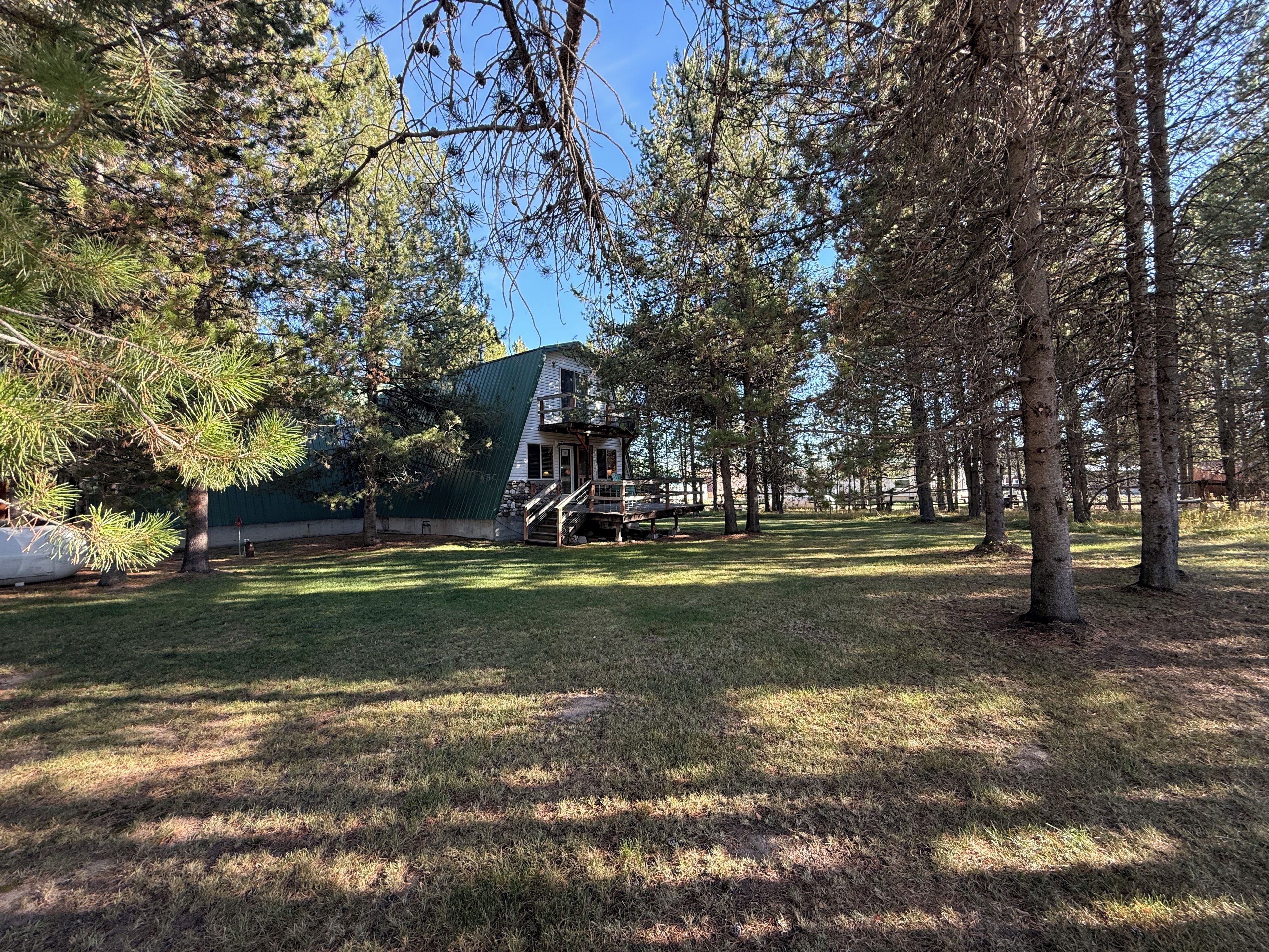 Une petite cabane avec un toit en métal, entourée d’une zone herbeuse et d’arbres.