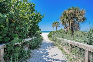 A wooden boardwalk leading to a beach with palm trees and dense foliage on either side. - Aqua Tides Cottage #4 at White Sands  -1br/1bath-steps to beach (Indian Rocks Beach)