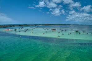 Zona costera con numerosos barcos y un muelle que se adentra en el agua.