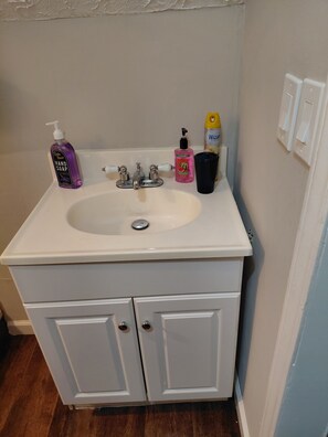 Bathroom - Cozy 1-bedroom house in welcoming College Park with AC (College Park)