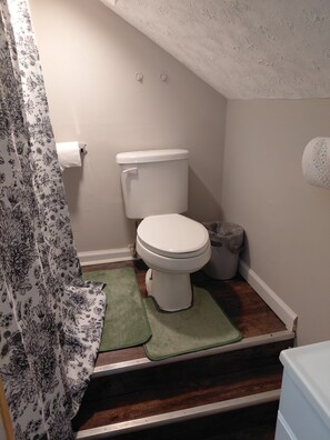 Bathroom - Cozy 1-bedroom house in welcoming College Park with AC (College Park)