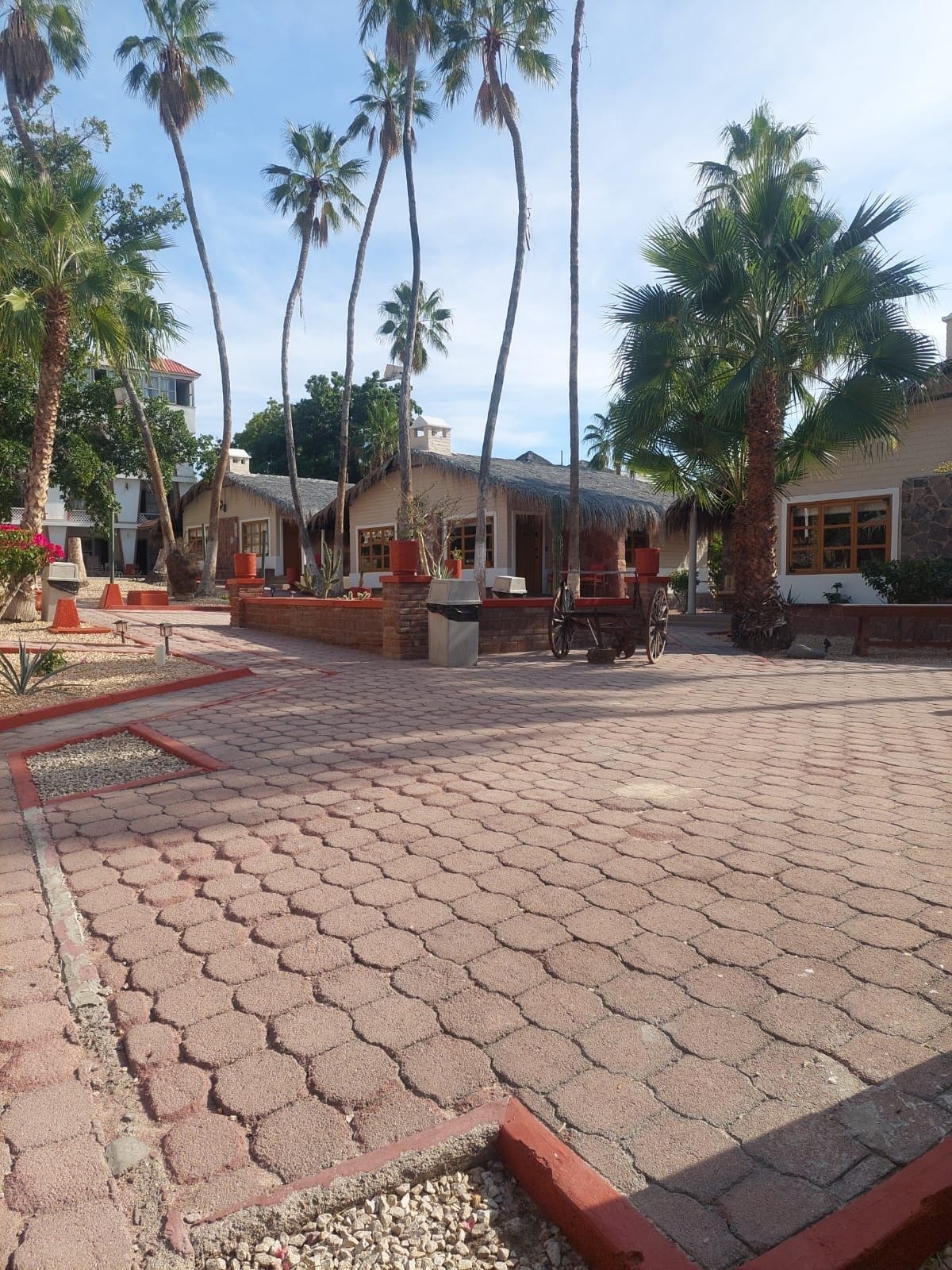 A courtyard with hexagonal paving, palm trees, and buildings with thatched roofs.