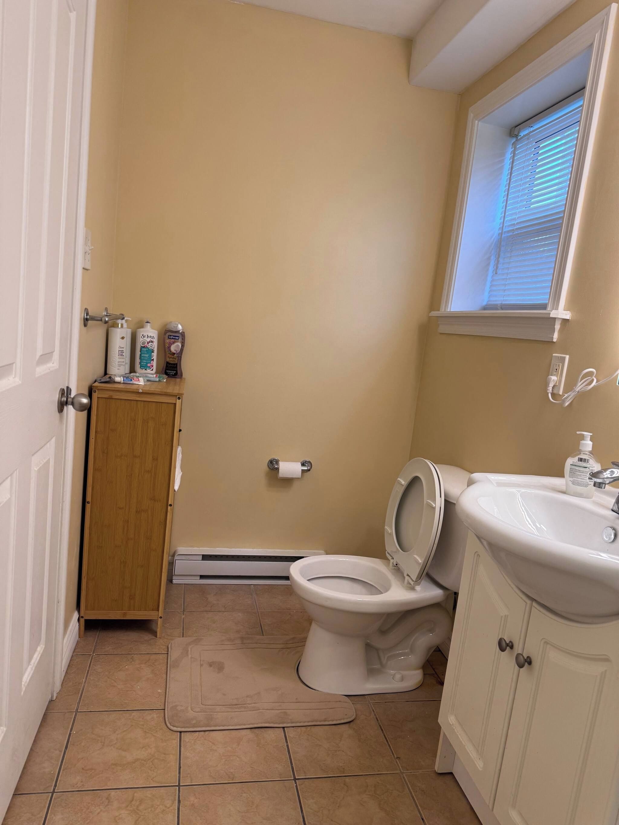 A bathroom with a toilet, sink, and a small cabinet with toiletries.