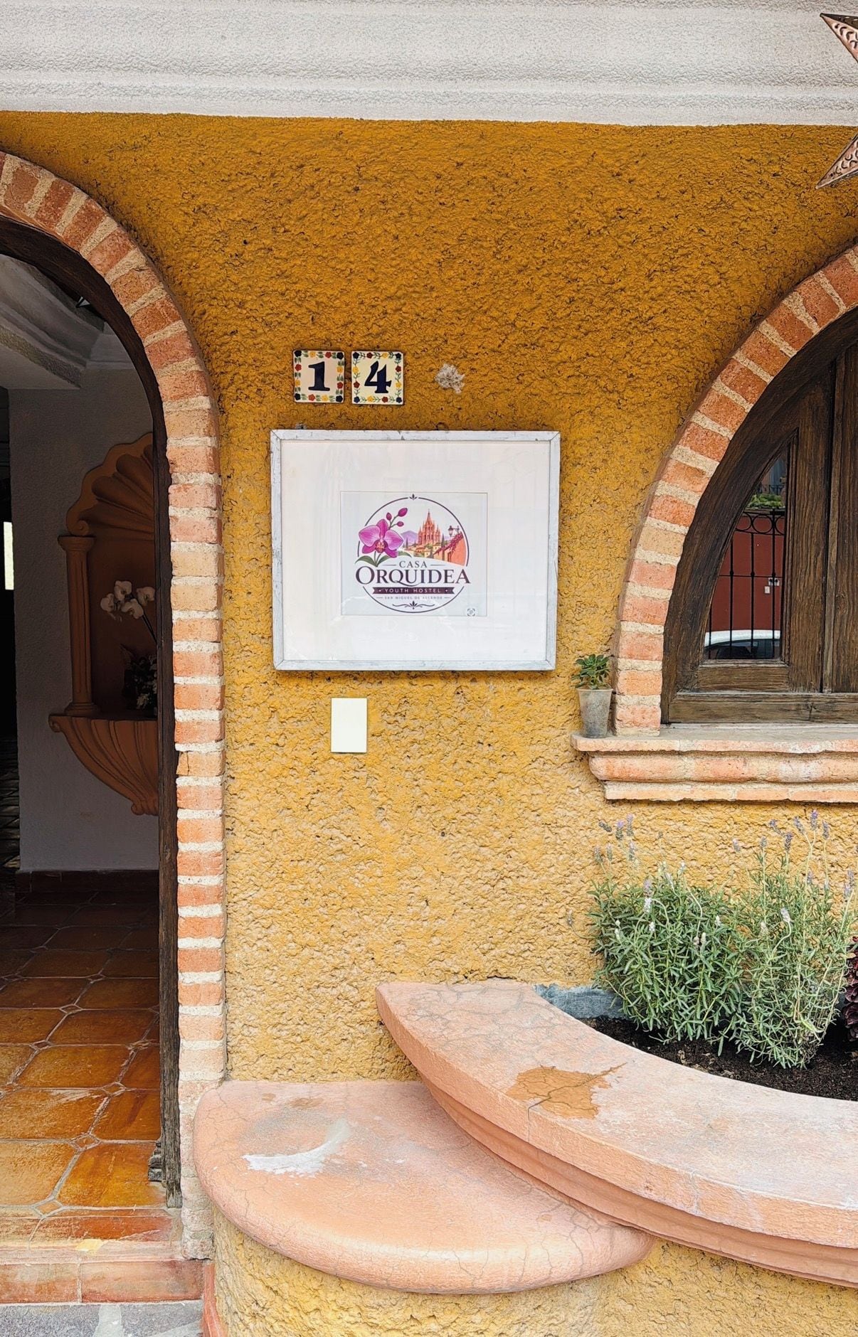 A yellow textured wall with a framed sign for Casa Orquidea Youth Hostel, number 14, and a small potted plant.