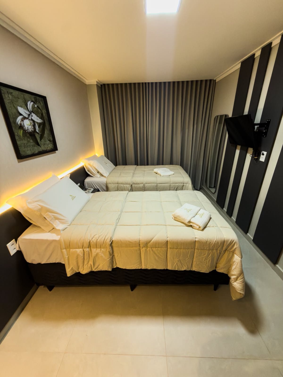 Habitación de hotel con dos camas, un cuadro en la pared y un televisor montado.