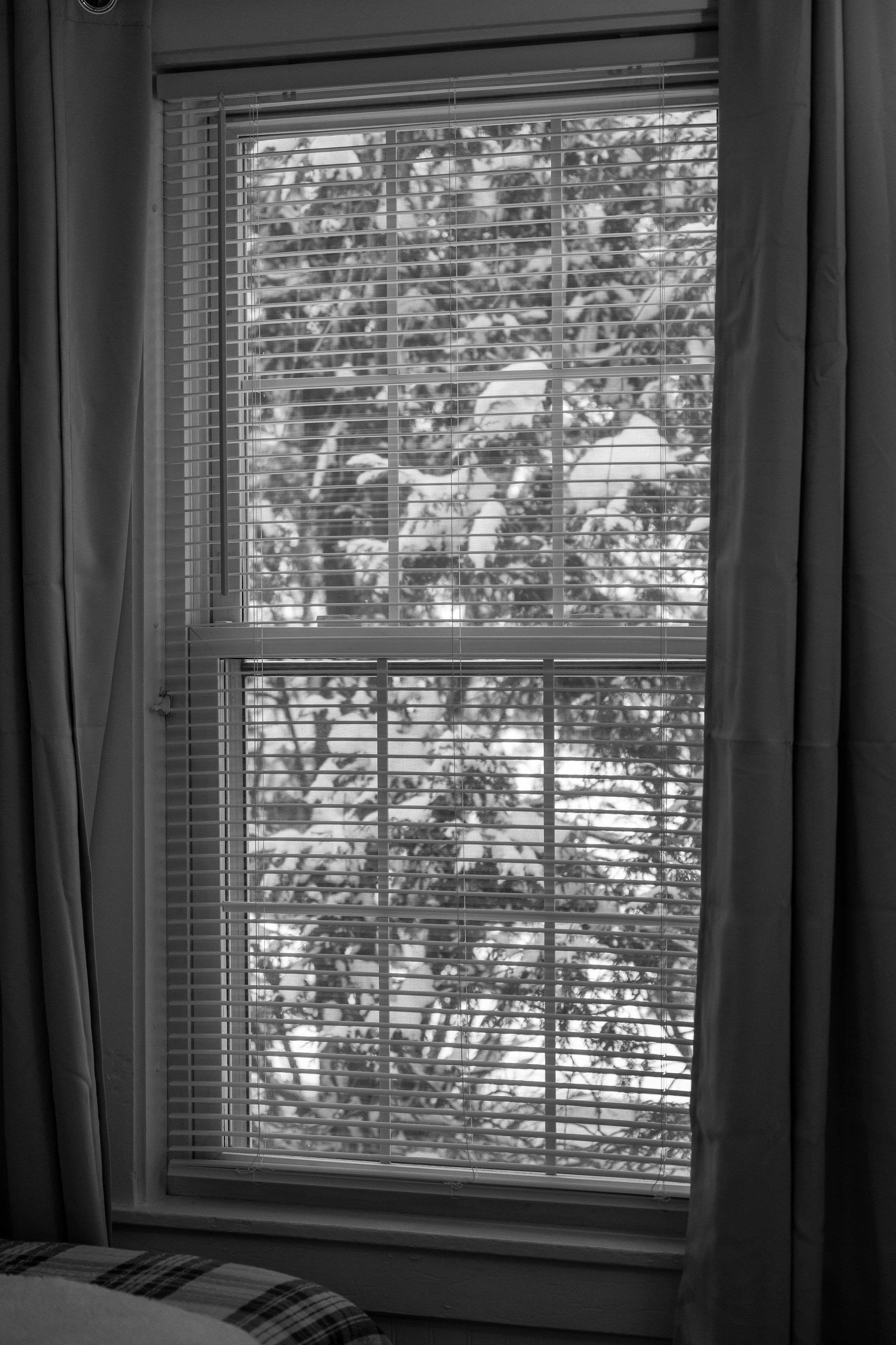 A window with blinds, curtains, and a view of trees outside.