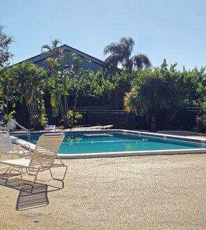 Pool - Sarasota Diamond, 2 Bedrooms, 2 Bathrooms, Modern, 1 sofa bed (Sarasota)