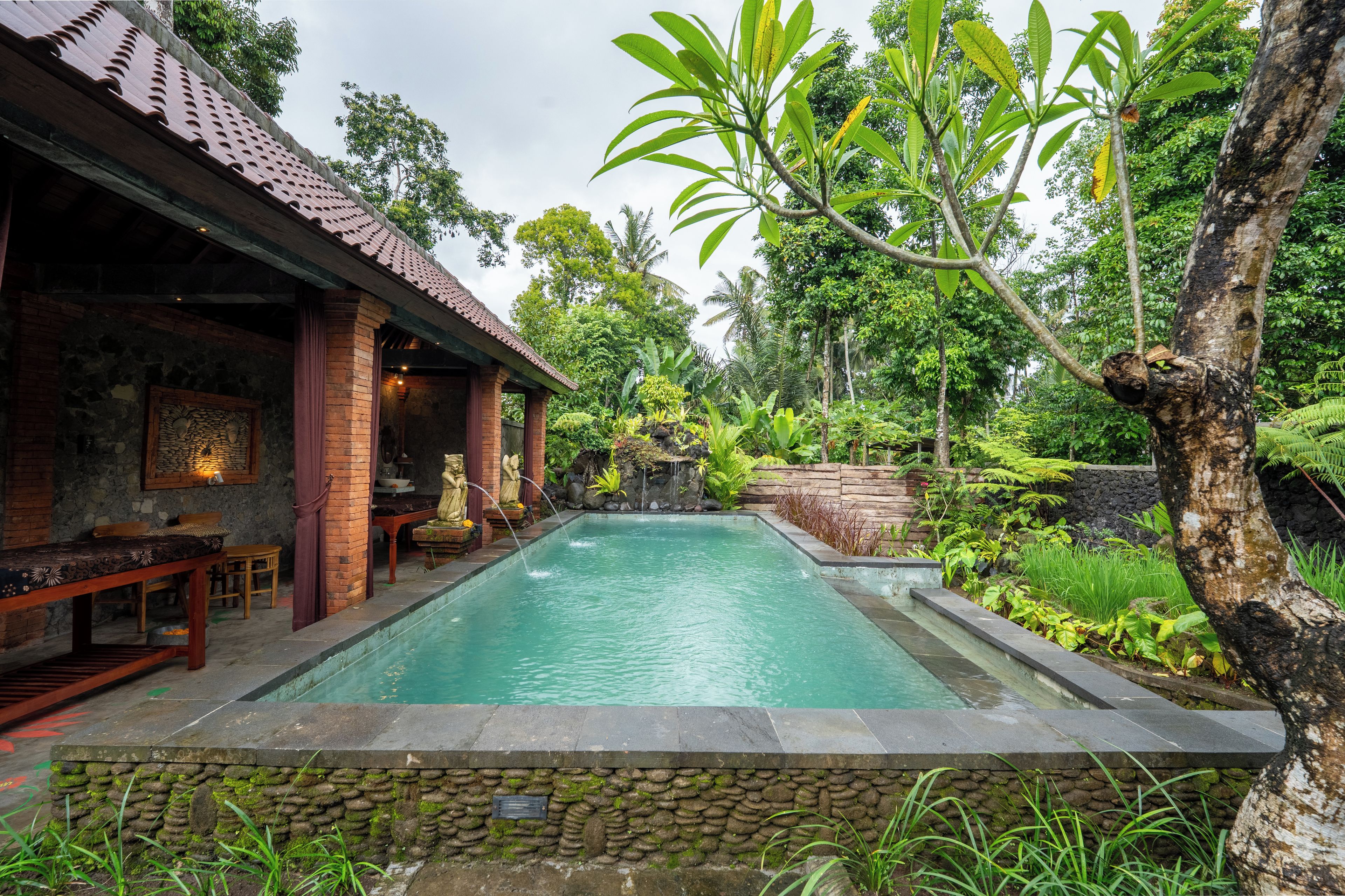 A pool with a stone border, surrounded by lush greenery and a building with a tiled roof.