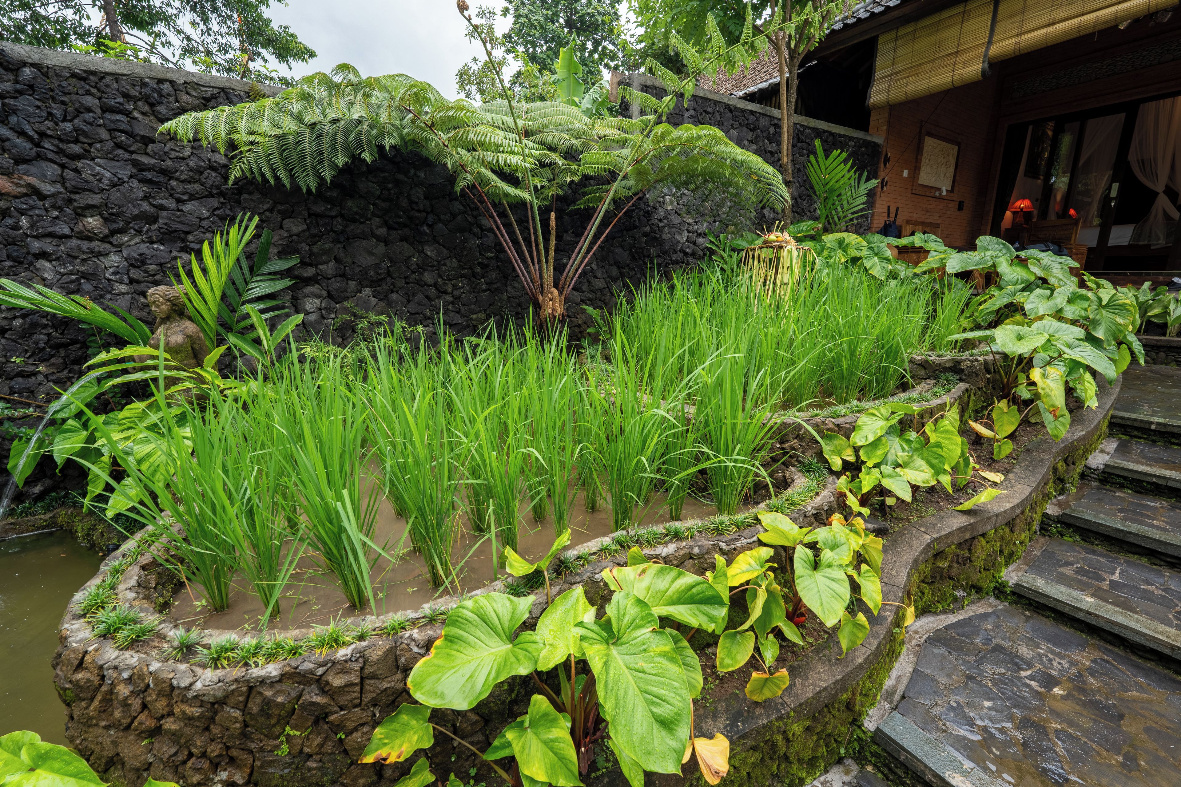 A garden with a stone wall, various plants, and a small water feature.