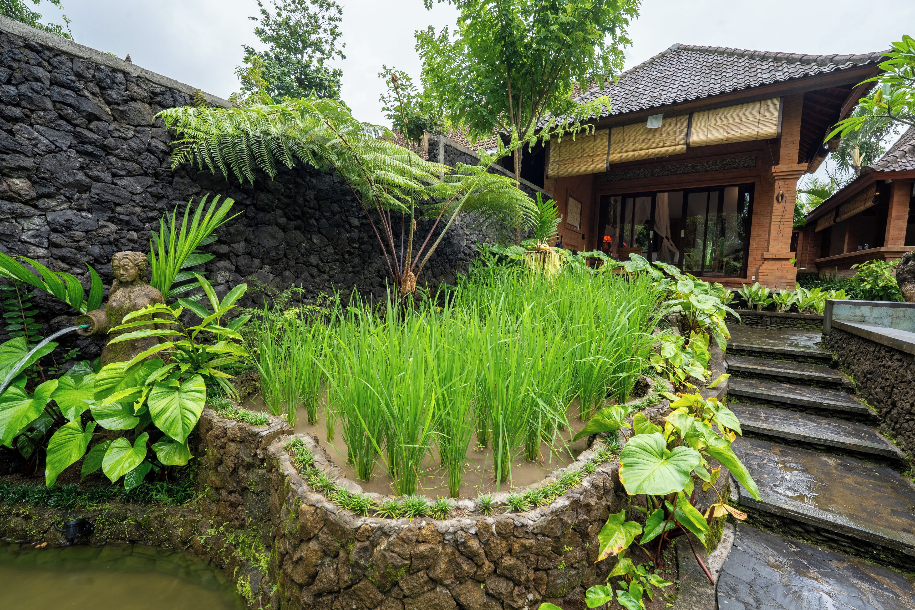 A traditional building with a stone wall and a water feature with plants.