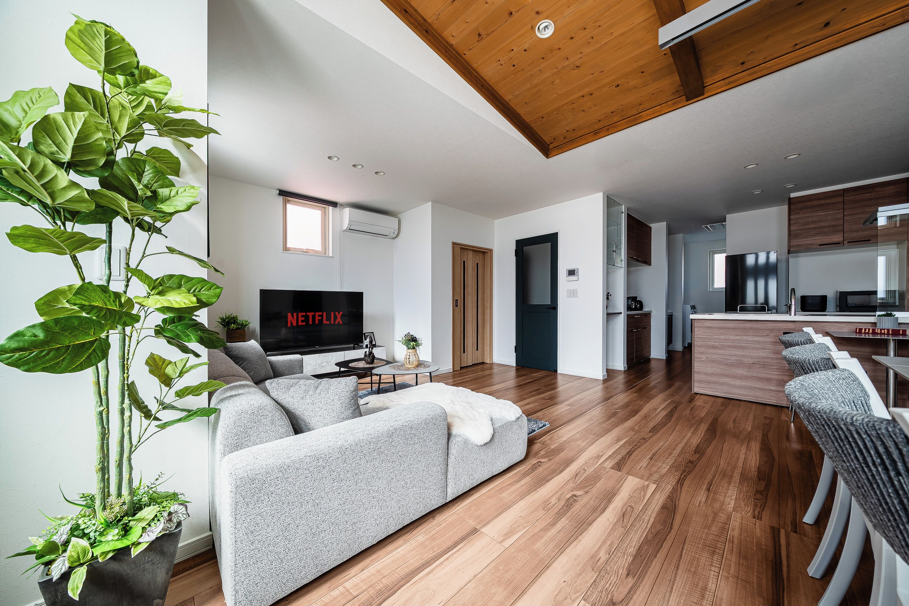 A modern living room with a sofa, a flat-screen TV, and a large green plant.
