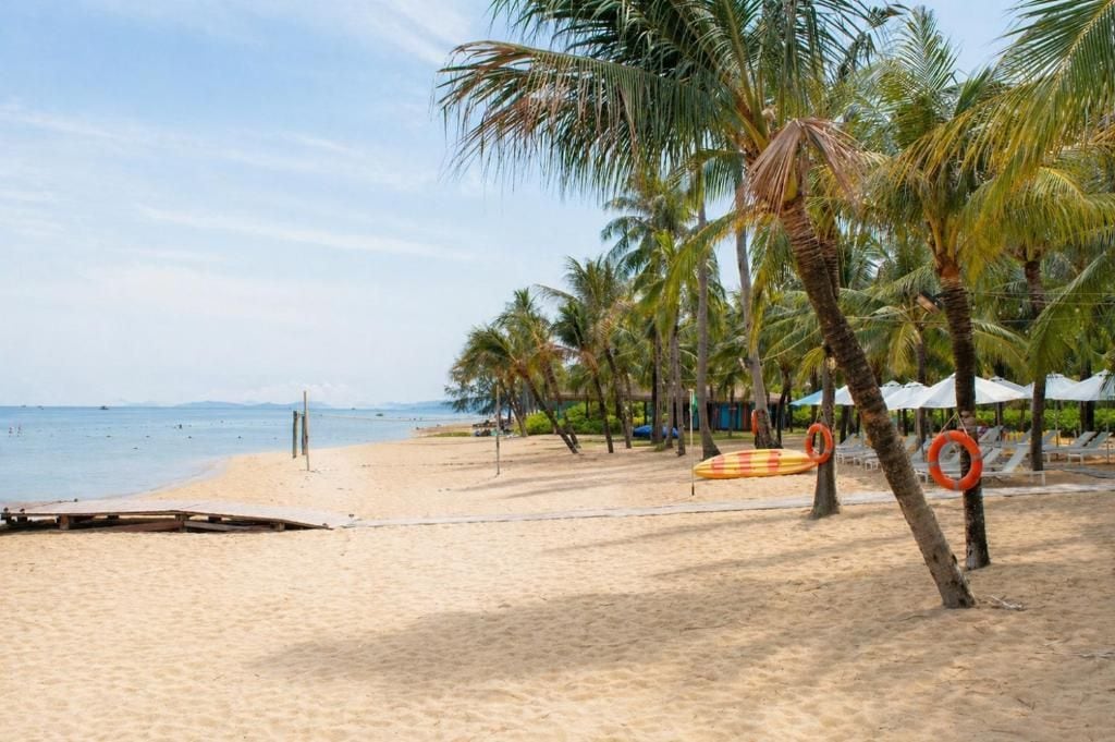 Una playa con palmeras, una red de voleibol y sombrillas.
