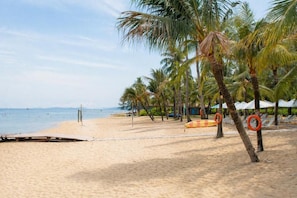 Een strand met palmbomen, een volleybalnet en strandparasols.