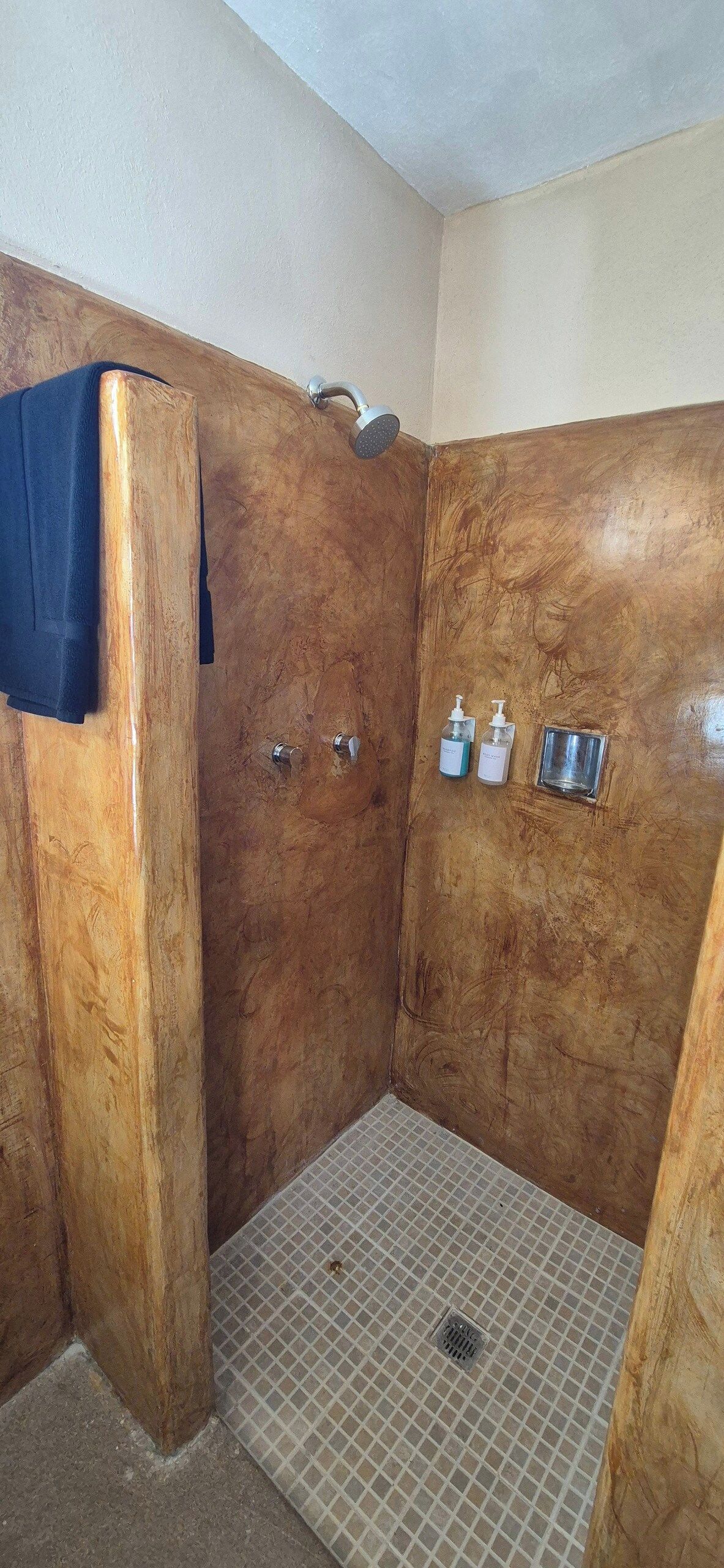 A shower area with a wooden door, a showerhead, and two bottles of shampoo.