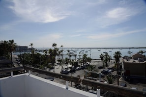 A coastal view with a marina, palm trees, and buildings.