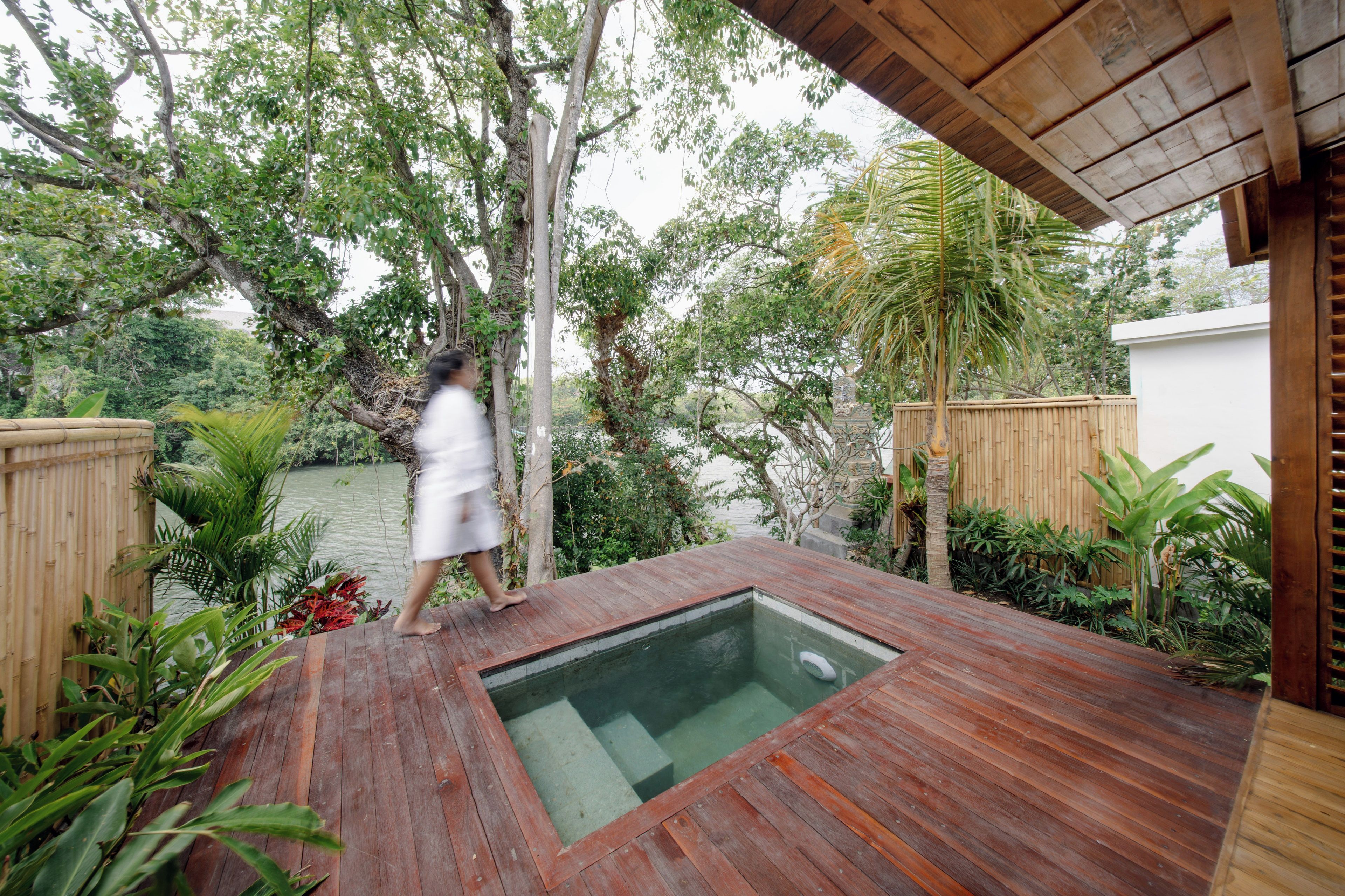 A wooden deck with a rectangular pool, surrounded by lush greenery and a white wall.