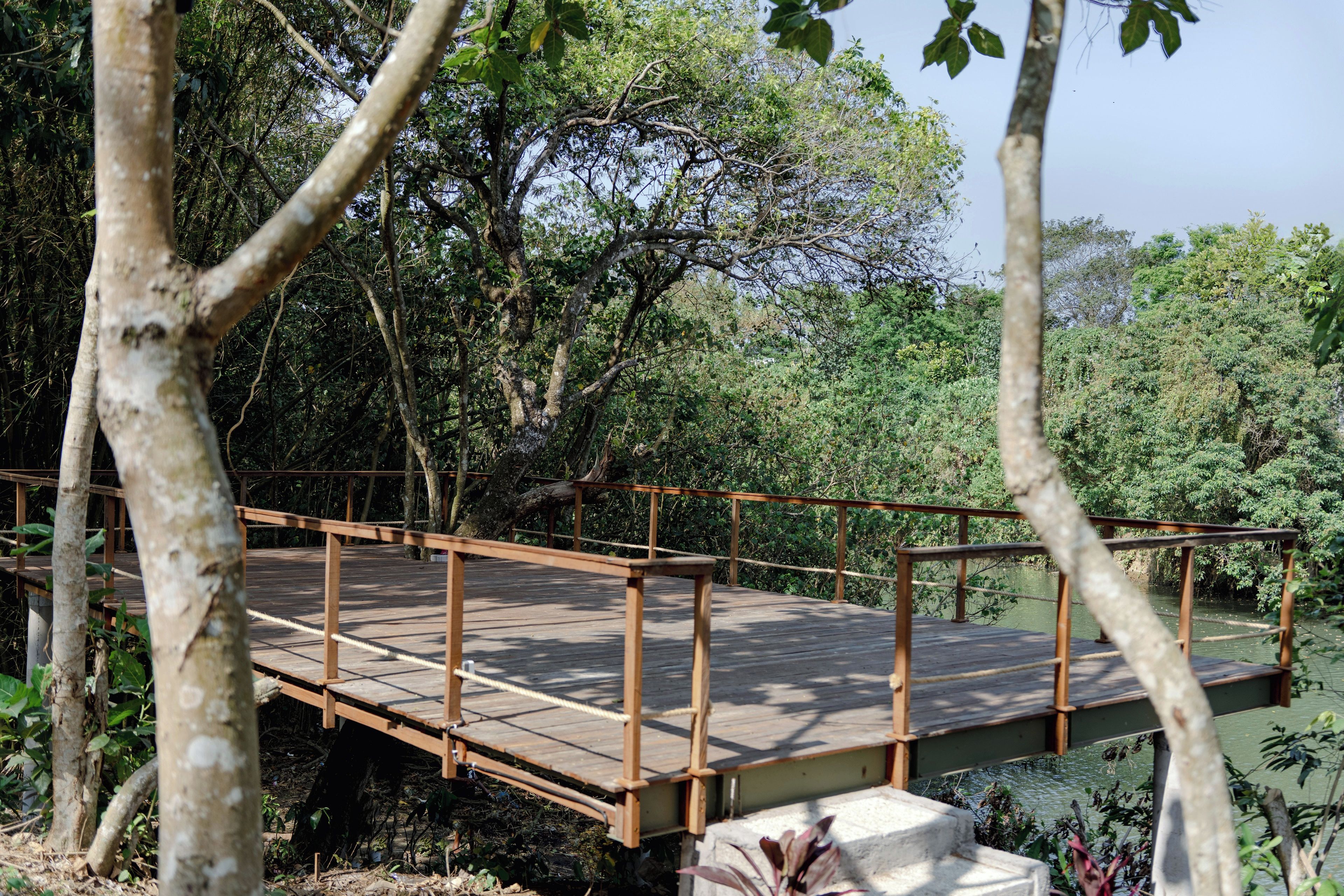 A wooden bridge over a body of water, surrounded by dense greenery and trees.