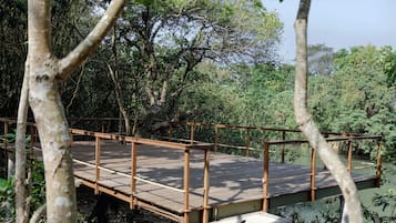 A wooden bridge over a body of water, surrounded by dense greenery and trees.