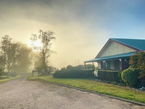 A rural road leading to a house with a porch and a blue roof.