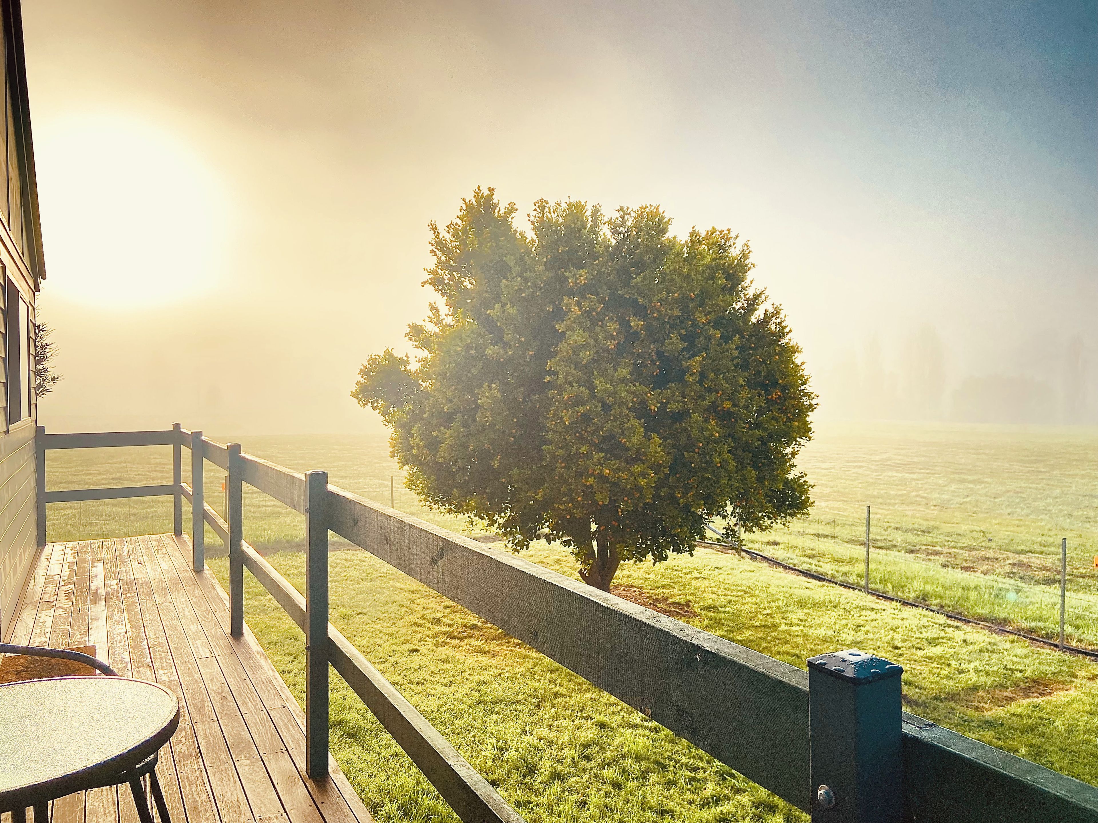 Een houten terras met een tafel, een boom en uitzicht over een veld.