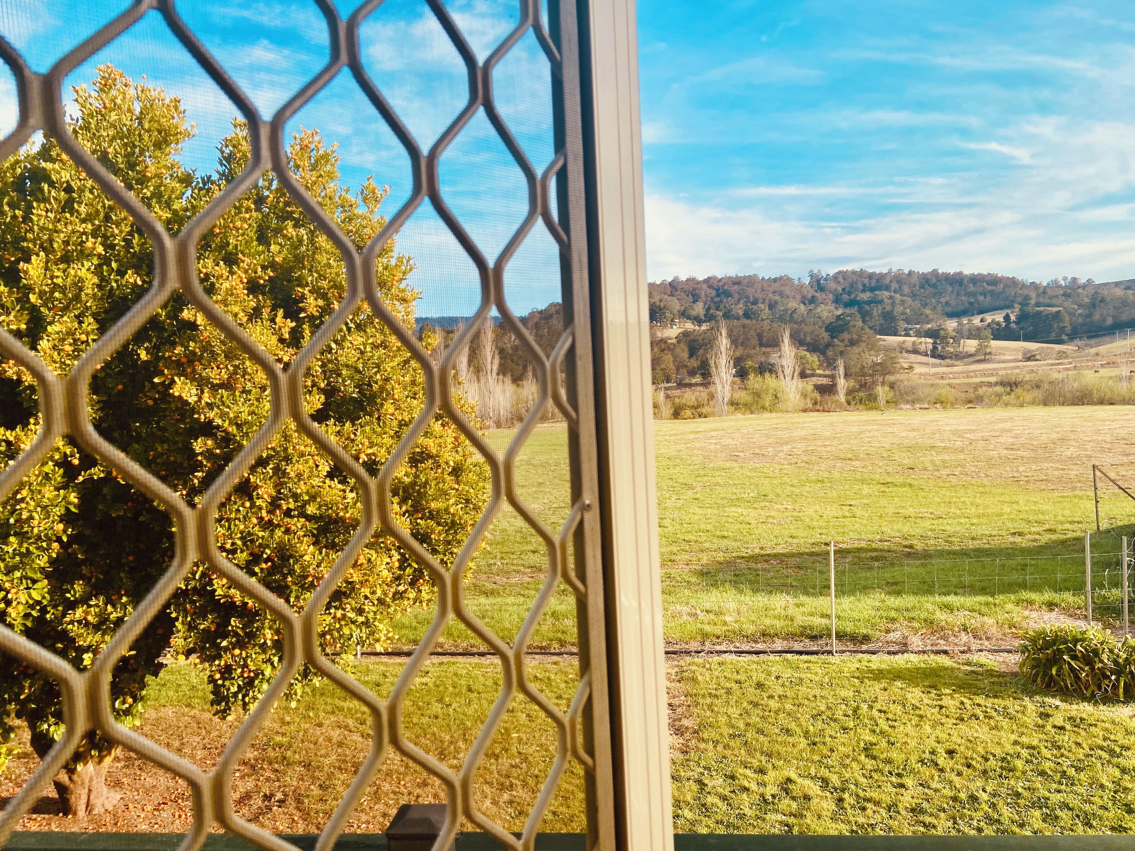 A view through a window with a metal mesh, featuring a green field, a tree, and a distant hill.