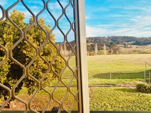 A view through a window with a metal mesh, featuring a green field, a tree, and a distant hill.