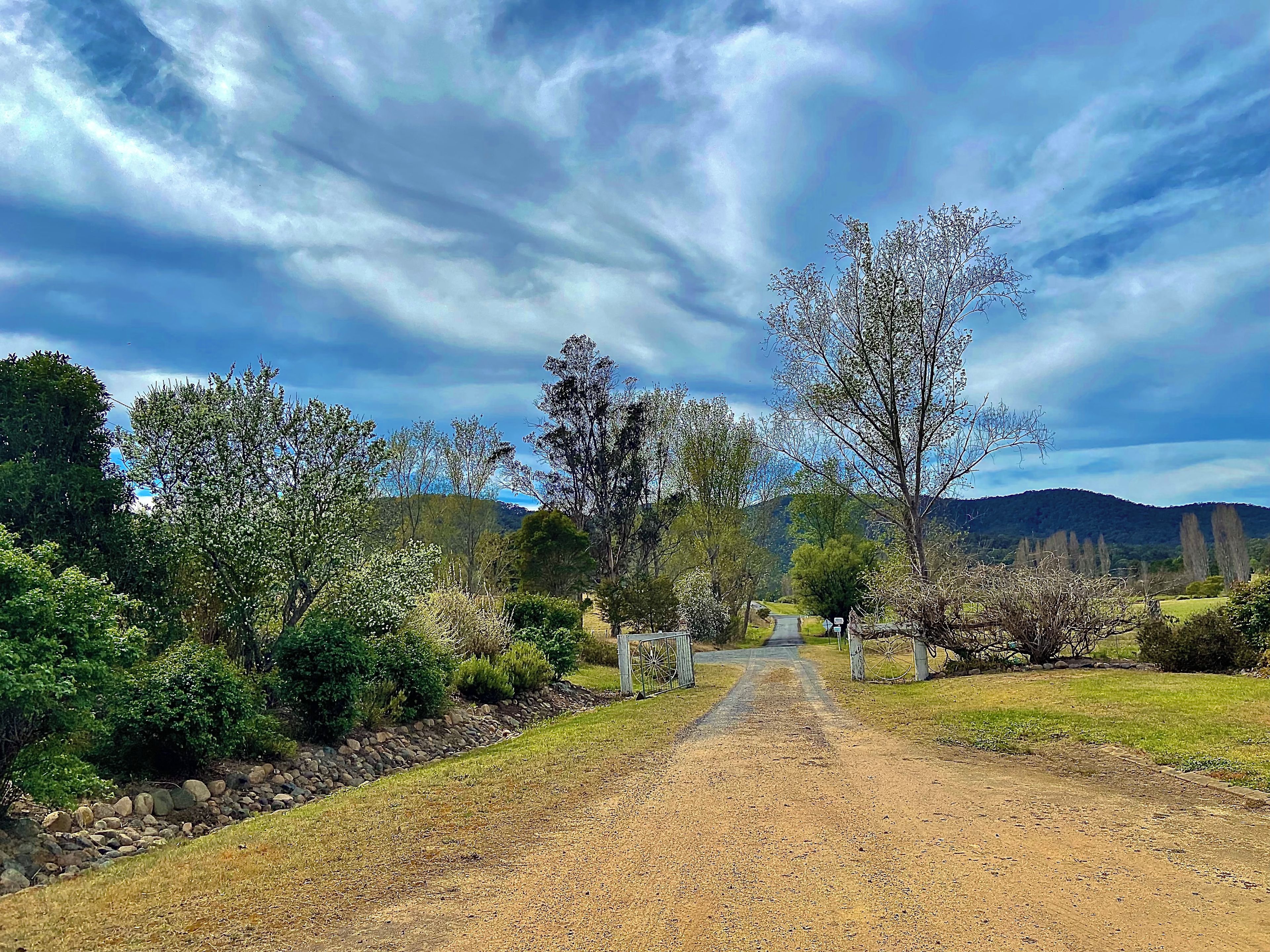 A dirt road leading through a rural landscape with trees and a mountain in the distance.