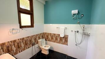 Baño con inodoro, bidé y zona de ducha.
