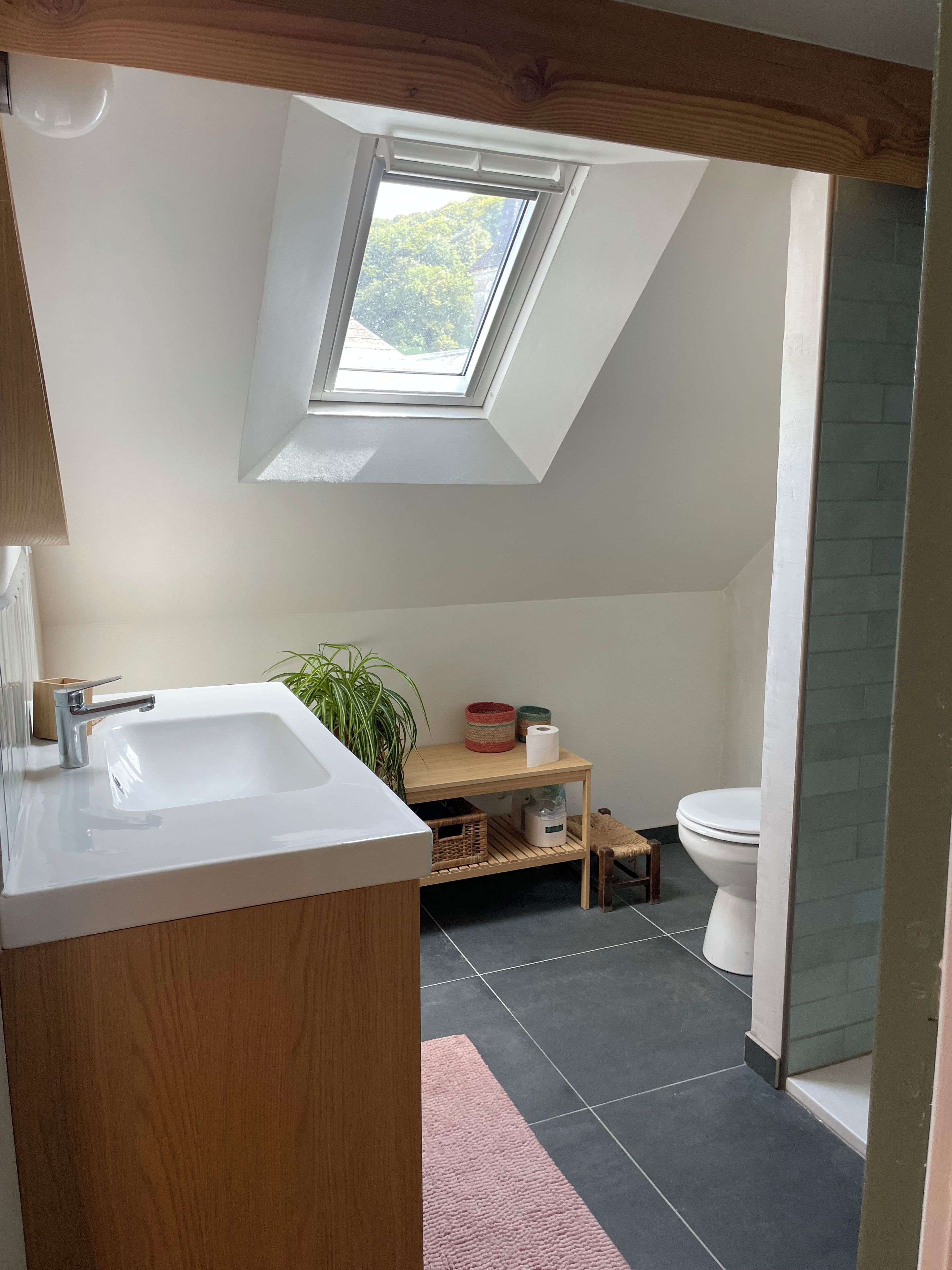 Et moderne badeværelse med ovenlys, en håndvask, toilet og et lille bord med en plante.