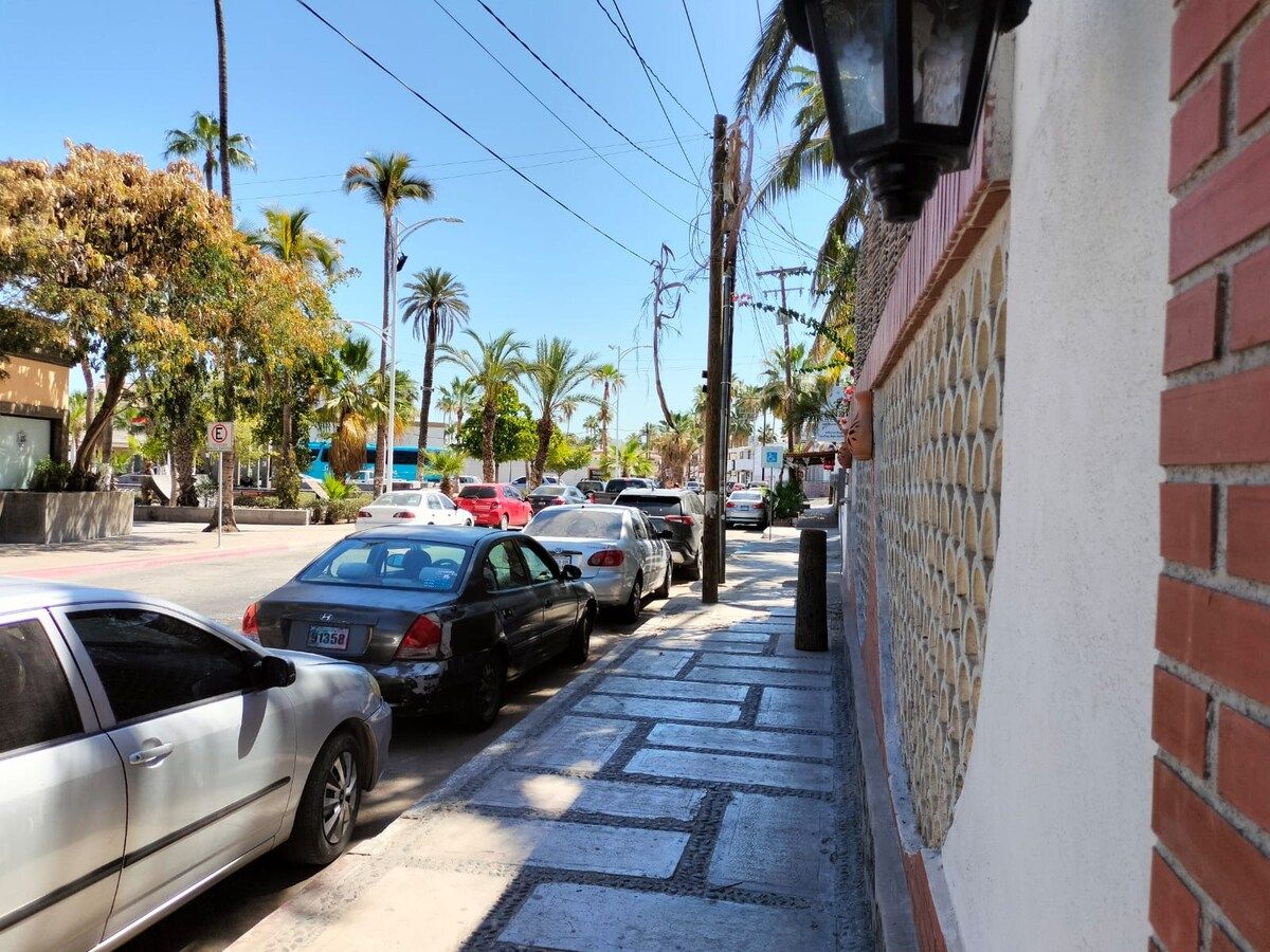 A street lined with parked cars and palm trees, with a building featuring a brick facade and a decorative fence.