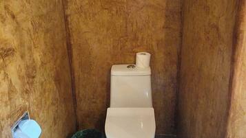 A small, enclosed bathroom with a toilet, a green trash bin, and a roll of toilet paper on the wall.