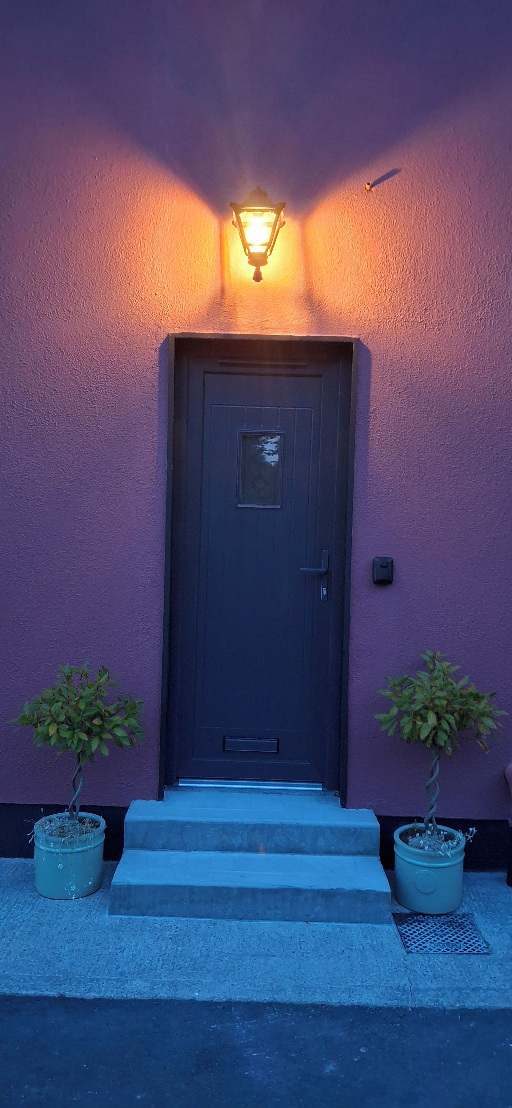 A dark-colored door with a small window, flanked by two potted plants, and a wall-mounted light fixture above.