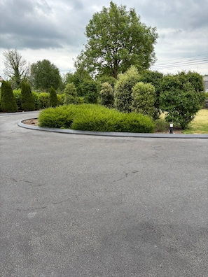 A paved parking area with a landscaped median featuring various shrubs and trees.