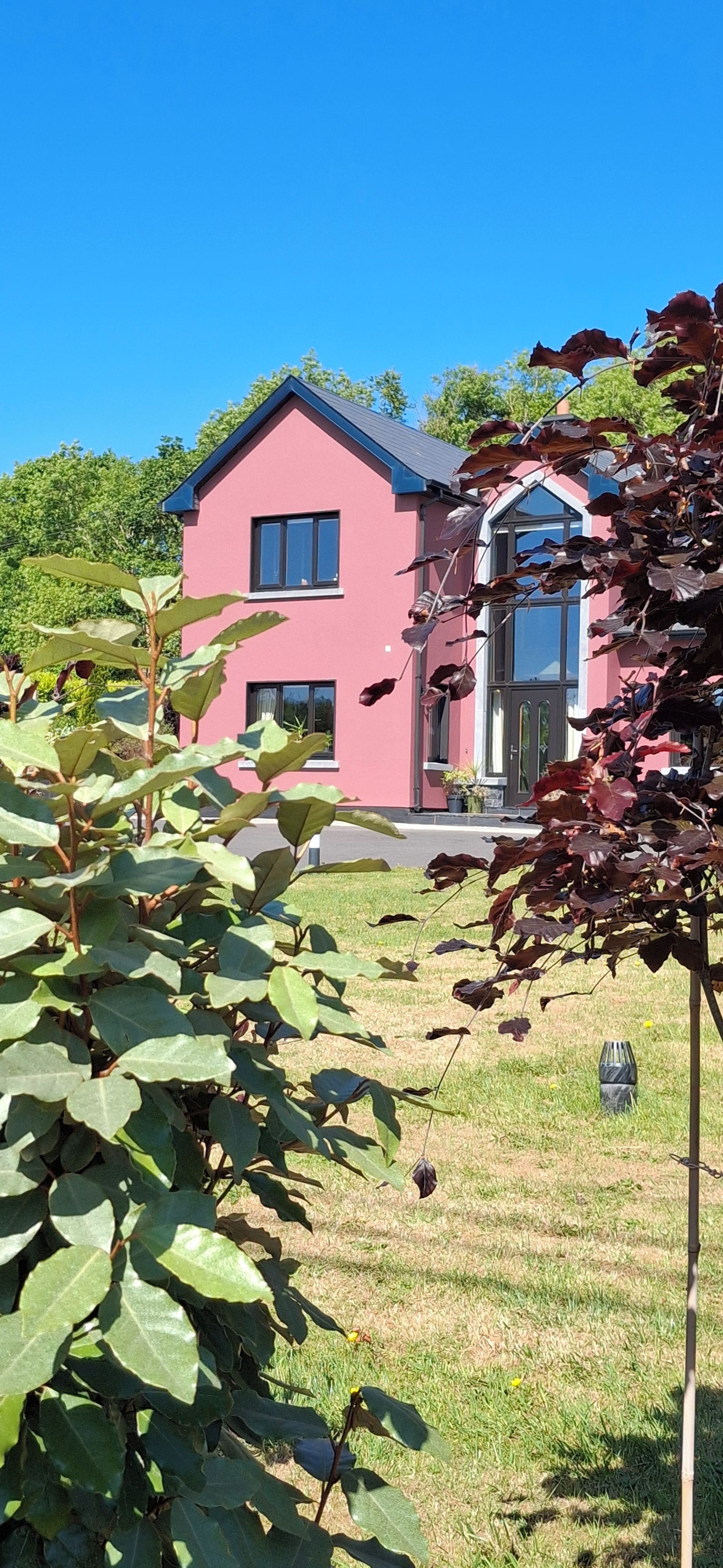 A two-story pink house with a large window and a door, surrounded by green foliage and grass.